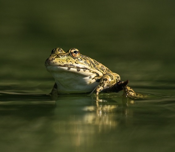 Mare'athon, l'édition 2026